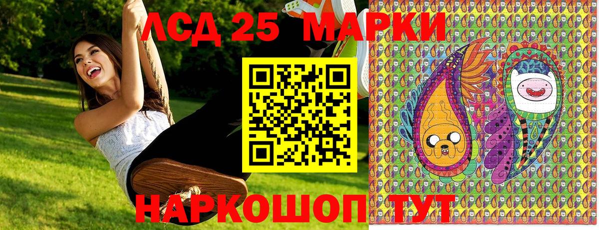 Псилоцибиновые грибы Гулькевичи