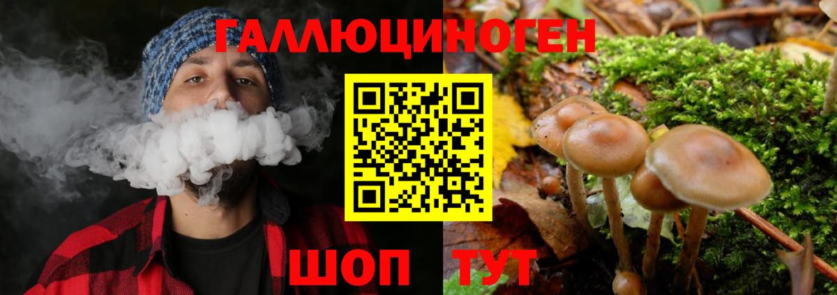 Галлюциногенные грибы Magic Shrooms  Вход с VPN  Гулькевичи 