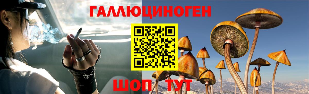 Псилоцибиновые грибы мицелий Гулькевичи